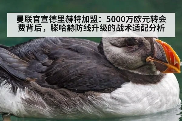 曼联官宣德里赫特加盟：5000万欧元转会费背后，滕哈赫防线升级的战术适配分析