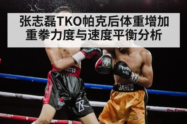 Zhang Zhilei knockout punch