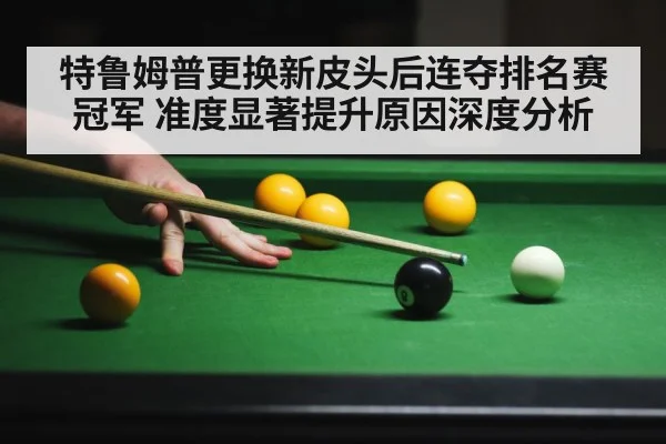 snooker cue tip close up